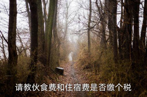 住宿費屬于什么稅，請教伙食費和住宿費是否繳個稅