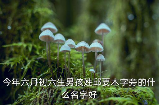 稅什么邱什么的名字，孩子姓邱該取什么名字呢男女都行