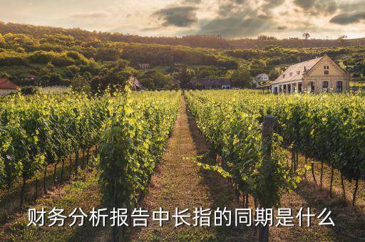 財(cái)務(wù)分析報(bào)告中長指的同期是什么