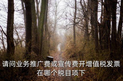 請(qǐng)問業(yè)務(wù)推廣費(fèi)或宣傳費(fèi)開增值稅發(fā)票在哪個(gè)稅目項(xiàng)下