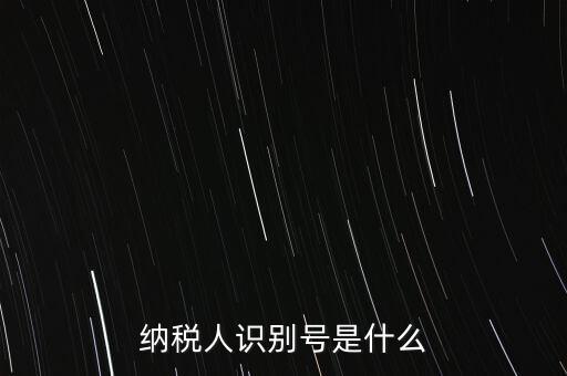 電子稅務(wù)局納稅人識別號是什么，納稅人識別號是什么