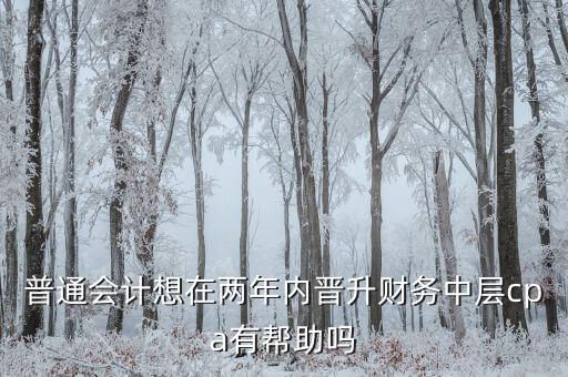 普通會計(jì)想在兩年內(nèi)晉升財(cái)務(wù)中層cpa有幫助嗎