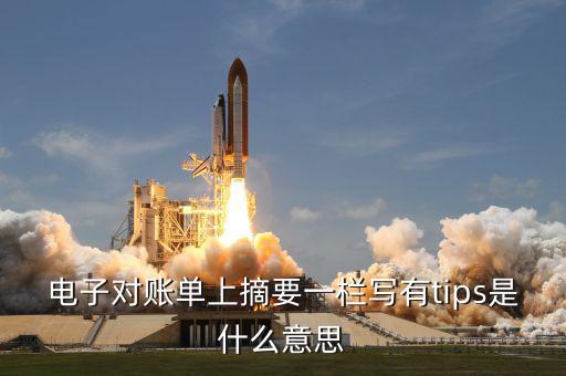 國稅tips系統(tǒng)指什么，電子對賬單上摘要一欄寫有tips是什么意思