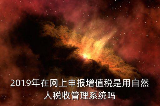 什么是增值稅管理系統(tǒng)，2019年在網(wǎng)上申報(bào)增值稅是用自然人稅收管理系統(tǒng)嗎