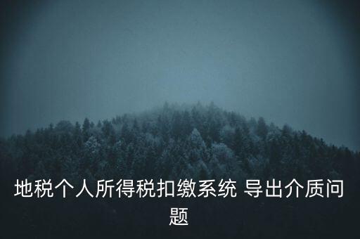 地稅個人所得稅扣繳系統(tǒng) 導出介質問題