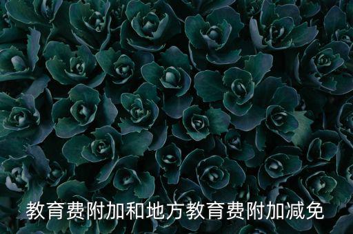 教育費附加和地方教育費附加減免