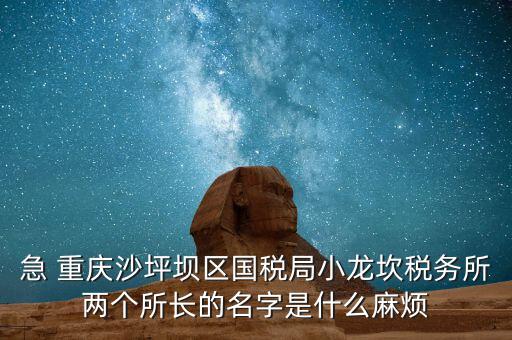 稅務(wù)所所長(zhǎng)什么級(jí)別，地稅局基層稅務(wù)所屬什么層級(jí)