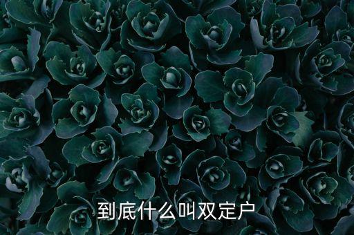 什么是雙定戶，雙翅一一翻雙眉什么雙眼什么