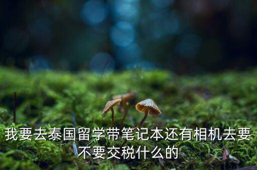 泰國什么人需要納稅，我要去泰國留學(xué)帶筆記本還有相機去要不要交稅什么的