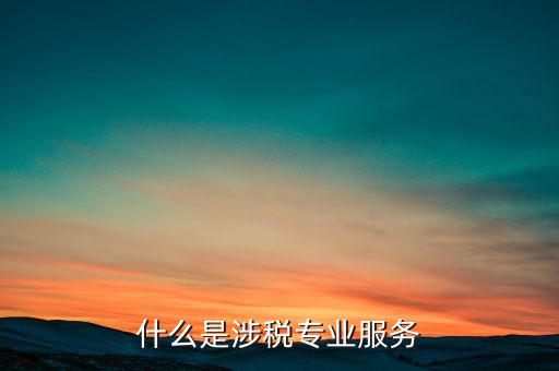 涉稅專業(yè)服務(wù)機(jī)構(gòu) 包括什么，什么是涉稅專業(yè)服務(wù)