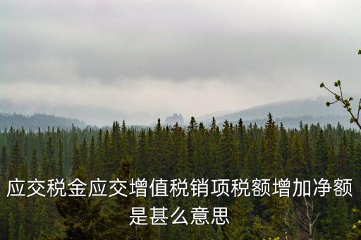 稅額增長(zhǎng)點(diǎn)是什么意思，應(yīng)交稅金應(yīng)交增值稅銷(xiāo)項(xiàng)稅額增加凈額是甚么意思