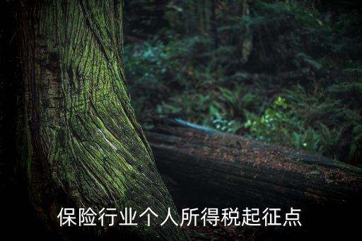 保險行業(yè)入交什么稅，保險行業(yè)個人所得稅起征點