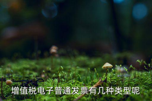 普通發(fā)票有什么種類，發(fā)票分幾種