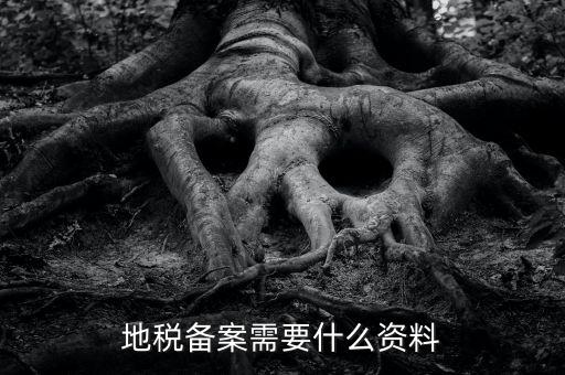 國(guó)地稅備案需要什么資料，地稅備案需要什么資料