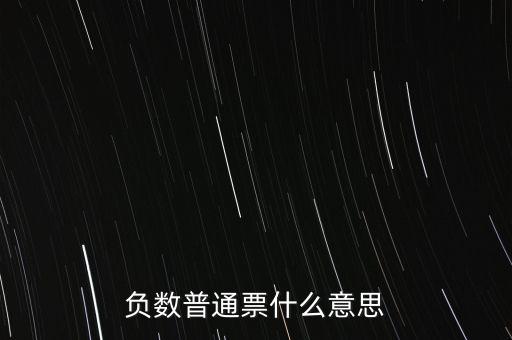 負數普通票什么意思