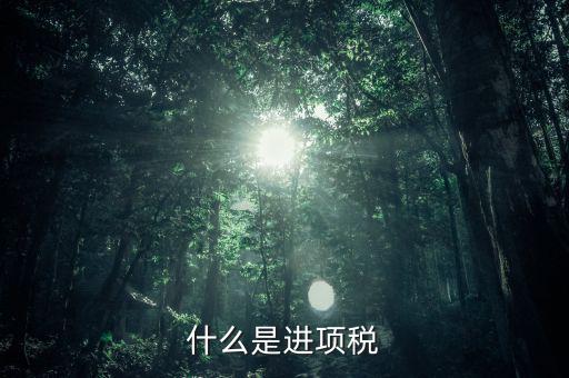 進項是指什么，什么是進項稅