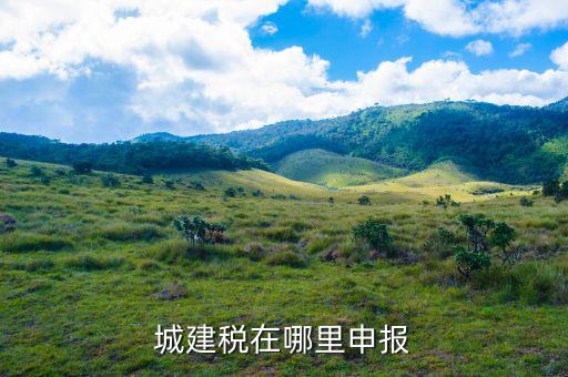 地稅城市維護建設(shè)稅按什么申報，城建稅申報
