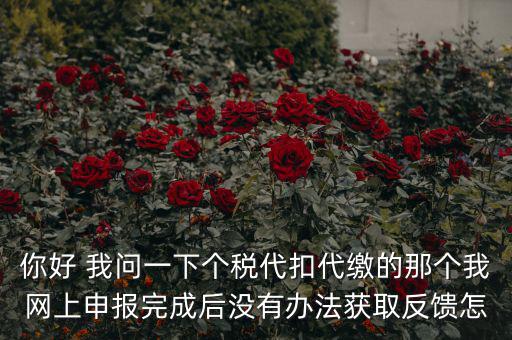 你好 我問一下個(gè)稅代扣代繳的那個(gè)我網(wǎng)上申報(bào)完成后沒有辦法獲取反饋怎