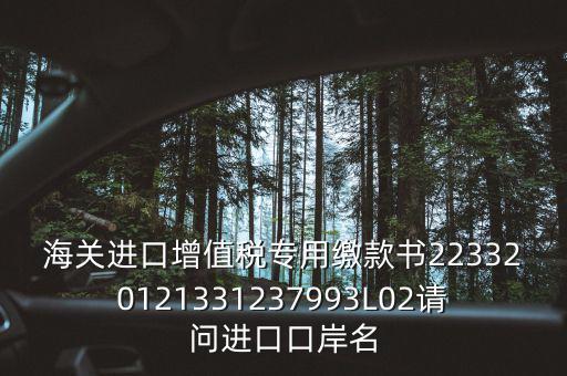 海關(guān)進(jìn)口增值稅專用繳款書(shū)223320121331237993L02請(qǐng)問(wèn)進(jìn)口口岸名
