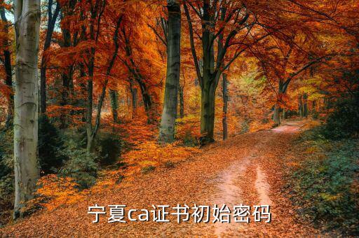 ca的默認(rèn)密碼是什么意思，ca口令是什么