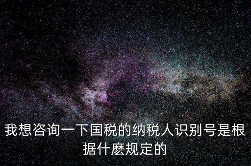 臨時(shí)納稅人代碼是什么，我想咨詢一下國(guó)稅的納稅人識(shí)別號(hào)是根據(jù)什麼規(guī)定的