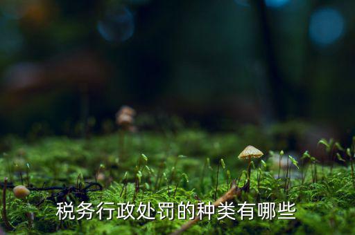 涉稅行政處罰包括什么，什么叫稅務(wù)行政處罰當(dāng)事人