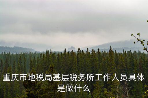 稅務(wù)局什么工作人員，請(qǐng)問(wèn)地方稅務(wù)局具體做哪些工作
