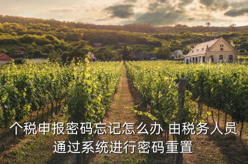 去稅局重置密碼要帶什么資料，個(gè)稅申報(bào)密碼怎么重置