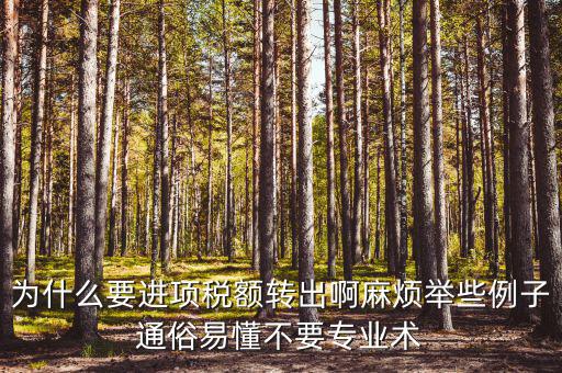 為什么要進項稅額轉(zhuǎn)出，為什么要進項稅額轉(zhuǎn)出啊麻煩舉些例子通俗易懂不要專業(yè)術(shù)