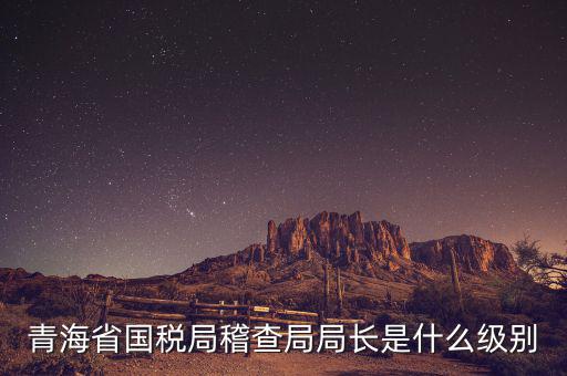 青海國(guó)稅局局長(zhǎng)叫什么，詢問(wèn)09年國(guó)稅和青海省地稅報(bào)考公務(wù)員時(shí)間