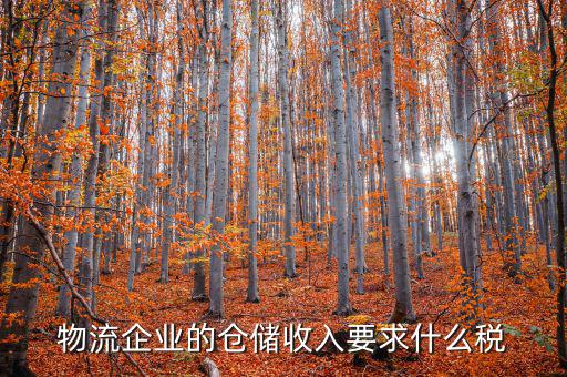 倉儲物流公司繳納什么稅，我是會計新手 請問各位師傅們物流公司應(yīng)繳納什么稅