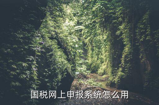 國稅網上申報系統(tǒng)怎么用