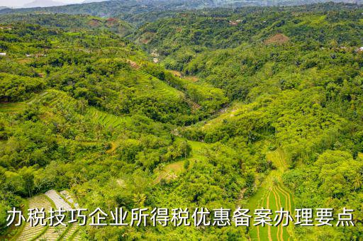 稅收優(yōu)惠事項(xiàng)備案項(xiàng)目是什么，企業(yè)所得稅需備案的事項(xiàng)包括哪些