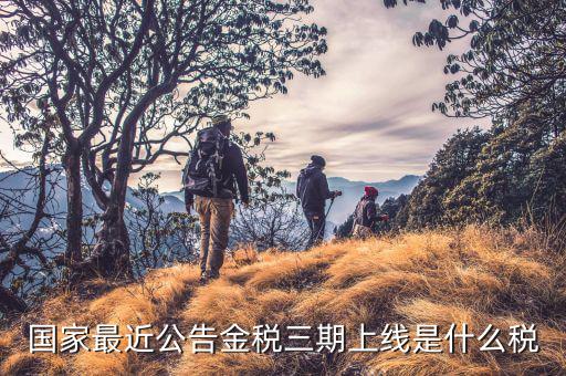 金稅三期從什么上線，國家最近公告金稅三期上線是什么稅