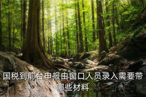 安徽去窗口申報稅需要帶什么材料，申報增值稅要拿什么材料去