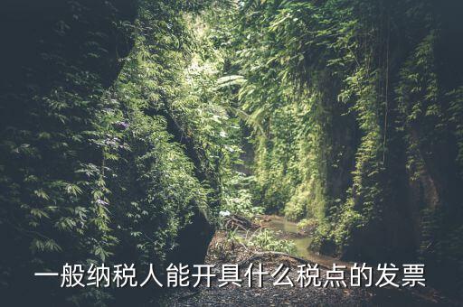 一般納稅人領(lǐng)什么發(fā)票，一般納稅人企業(yè)能開具和使用什么類型的發(fā)票