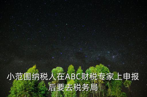 財(cái)稅專家是報(bào)什么稅，小范圍納稅人在ABC財(cái)稅專家上申報(bào)后要去稅務(wù)局