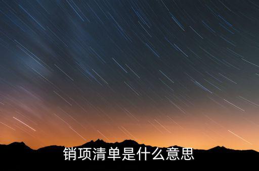 增值稅報稅清單是什么意思，發(fā)票清單是什么