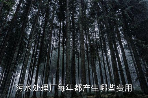 污水處理廠要交什么稅，污水處理廠屬于什么納稅行業(yè)