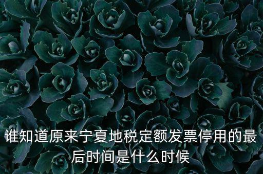 地稅的發(fā)票什么時(shí)候不能用，誰(shuí)知道原來(lái)寧夏地稅定額發(fā)票停用的最后時(shí)間是什么時(shí)候