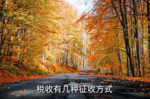 稅務(wù)征非稅采取什么方式，稅務(wù)征收有哪幾種