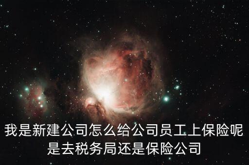 稅務(wù)局保險是什么，稅務(wù)局讓企業(yè)交得規(guī)費和參保費是什么