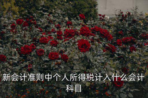 所得稅費(fèi)用什么科目，新會(huì)計(jì)準(zhǔn)則中個(gè)人所得稅計(jì)入什么會(huì)計(jì)科目