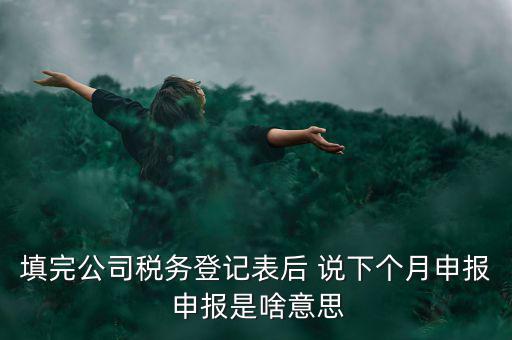 納稅登記表是什么意思，填完公司稅務(wù)登記表后 說下個月申報 申報是啥意思