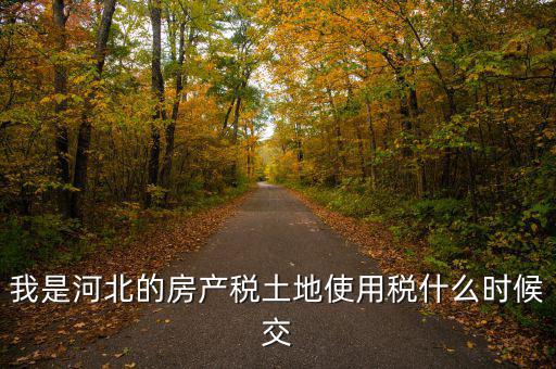 河北地稅申報(bào)后什么時(shí)候繳費(fèi)，我是河北的房產(chǎn)稅土地使用稅什么時(shí)候交
