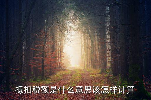 抵免稅額是什么意思，抵扣稅額是什么意思該怎樣計算