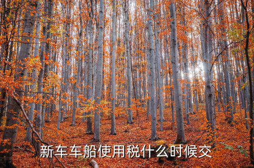 新車什么時候交車船稅，新車車船使用稅什么時候交