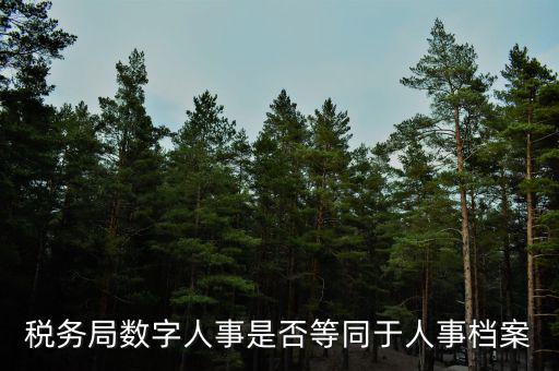 稅務(wù)局數(shù)字人事是否等同于人事檔案