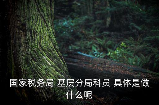 國(guó)地稅征管改革黨員干部干什么，國(guó)家稅務(wù)局 基層分局科員 具體是做什么呢