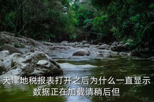 天津地稅為什么，天津地稅報(bào)表打開之后為什么一直顯示數(shù)據(jù)正在加載請(qǐng)稍后但